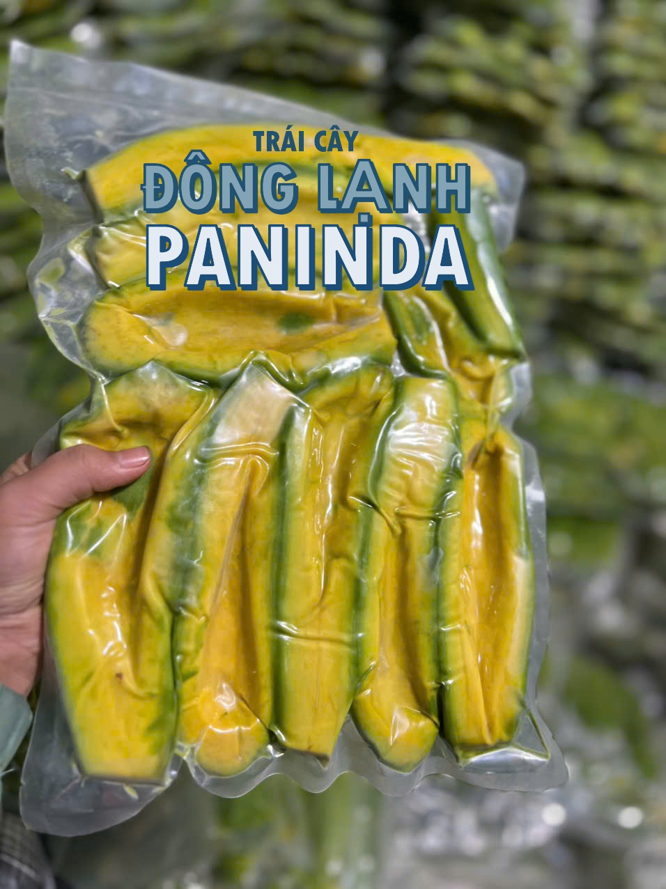 Bơ 034 Đông Lạnh Paninda – Lựa Chọn Khôn Ngoan Cho Người Trẻ Khôn Lỏi!